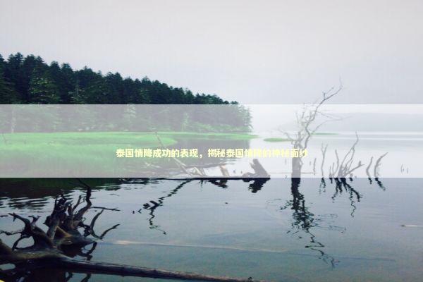 泰国情降成功的表现，揭秘泰国情降的神秘面纱