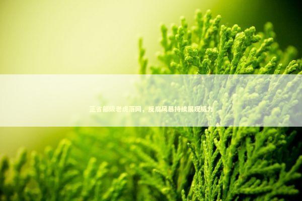 正省部级老虎落网，反腐风暴持续展现威力