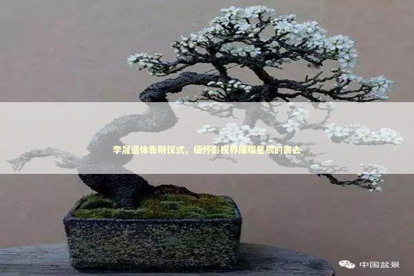 李晟遗体告别仪式，缅怀影视界璀璨星辰的离去