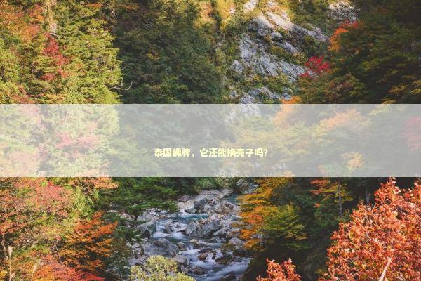 泰国佛牌，它还能换壳子吗？
