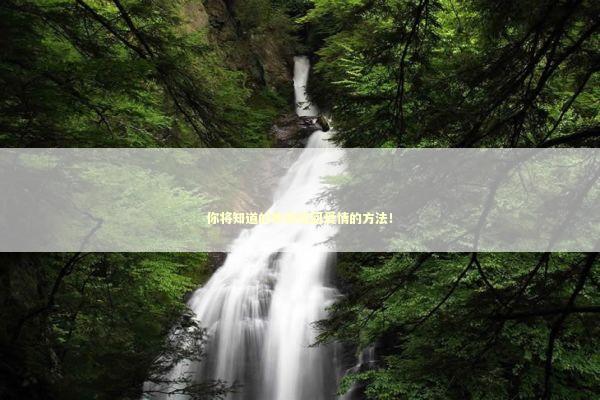 你将知道的神奇挽回爱情的方法！