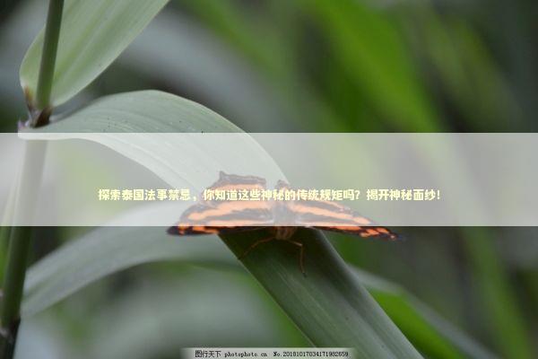 探索泰国法事禁忌，你知道这些神秘的传统规矩吗？揭开神秘面纱！
