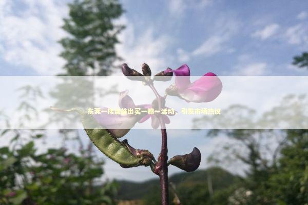 东莞一楼盘推出买一赠一活动，引发市场热议