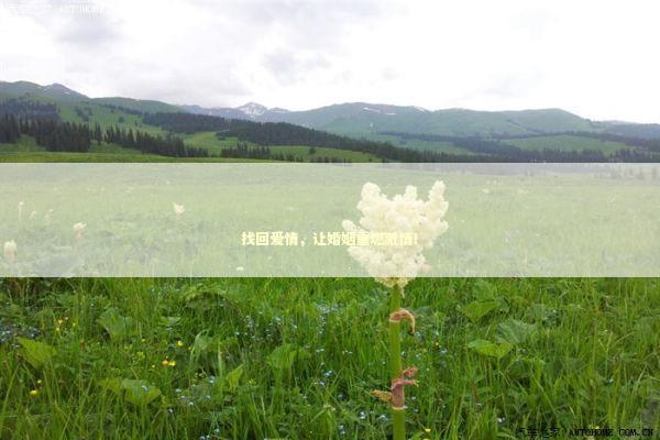 找回爱情，让婚姻重燃激情！
