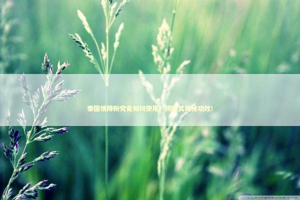 泰国情降粉究竟如何使用？揭秘其神秘功效！