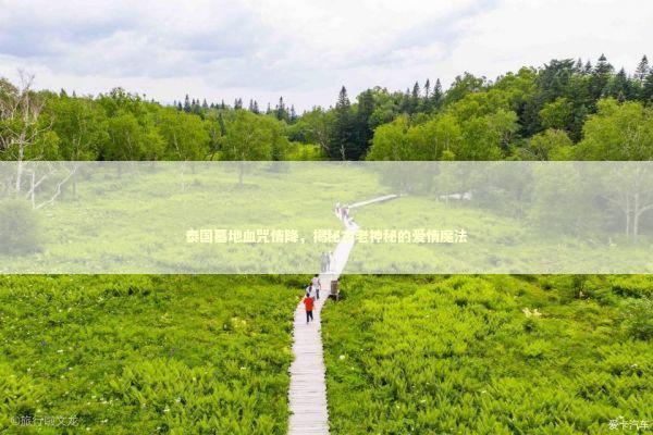 泰国墓地血咒情降，揭秘古老神秘的爱情魔法