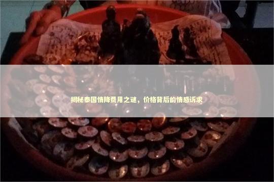 揭秘泰国情降费用之谜，价格背后的情感诉求
